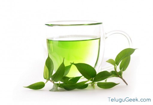 green-tea-plant
