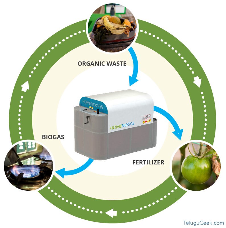 Biogas_3