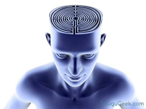 మెమరీ లాస్ కు : Brain Implant