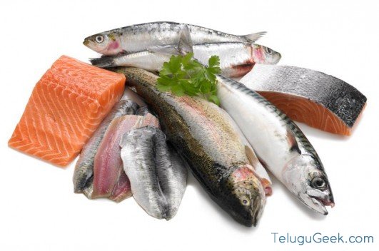 oily fish