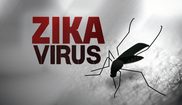 “Zika” గురించిన నిజాలు ఇవిగో…