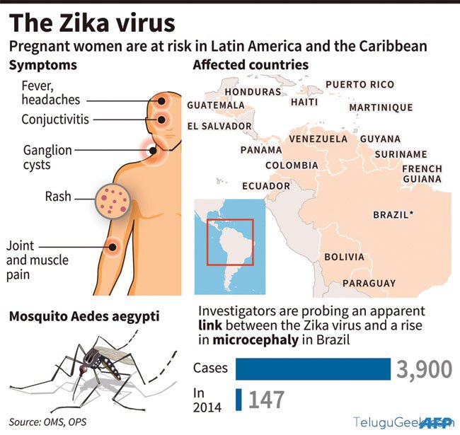 Factfile on the Zika virus after warnings of an outbreak in parts of South America.