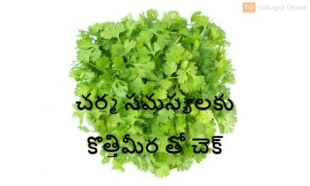 చర్మ సమస్యలకు కొత్తిమీర తో చెక్