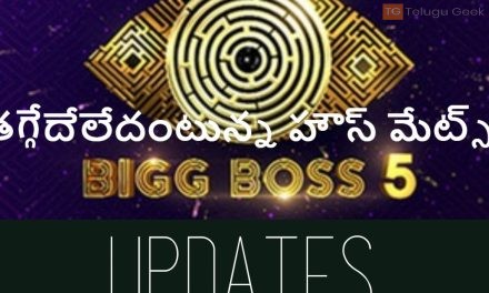 తగ్గేదేలేదంటున్న హౌస్ మేట్స్