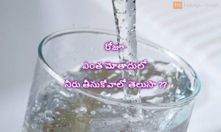 రోజూ ఎంత మోతాదులో నీరు తీసుకోవాలో తెలుసా ??