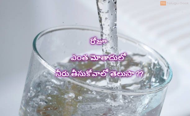 రోజూ ఎంత మోతాదులో నీరు తీసుకోవాలో తెలుసా ??