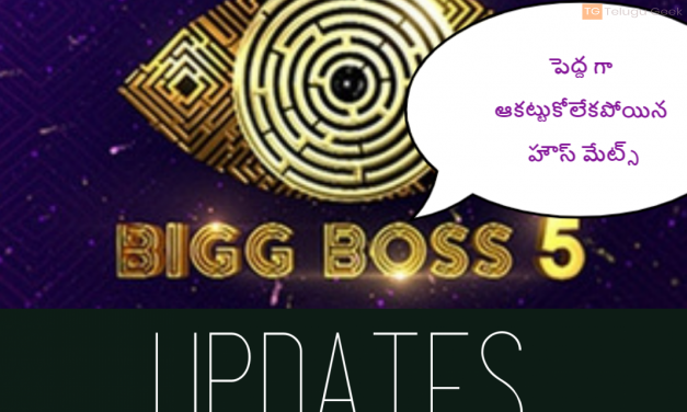 పెద్ద గా ఆకట్టుకోలేకపోయిన హౌస్ మేట్స్