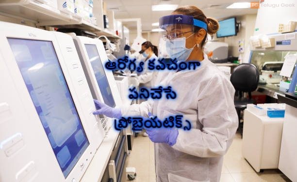 ఆరోగ్య కవచంగా పనిచేసే ప్రోబైయటిక్స్