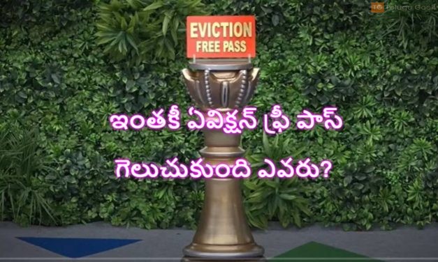 ఇంతకీ ఏవిక్షన్ ఫ్రీ పాస్ గెలుచుకుంది ఎవరు?  సన్నీనా?