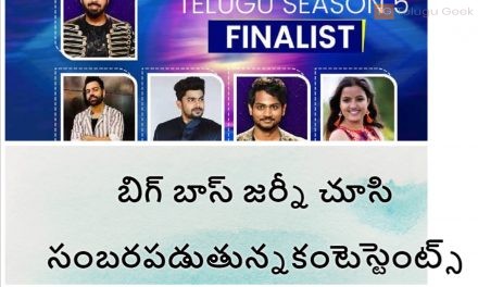 బిగ్ బాస్ జర్నీ చూసి సంబరపడుతున్న కంటెస్టెంట్స్