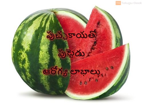 పుచ్చకాయతో పుట్టెడు ఆరోగ్య లాభాలు
