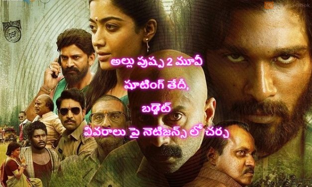 అల్లు పుష్ప 2 మూవీ షూటింగ్ తేదీ, బడ్జెట్ వివరాలు పై నెటిజన్స్ లో చర్చ