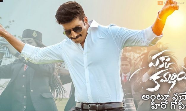 నేను పక్కా కమర్షియల్ అంటూ వచ్చేస్తున్న హీరో గోపీచంద్