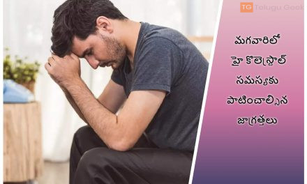 మగవారిలో హై కొలెస్ట్రాల్ సమస్యకు పాటించాల్సిన జాగ్రత్తలు