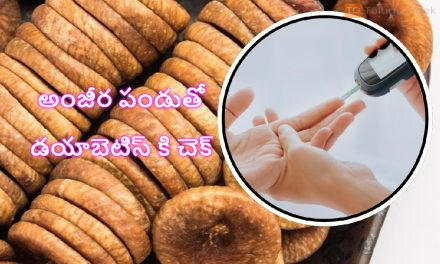 అంజీర పండుతో డయాబెటిస్ కి చెక్