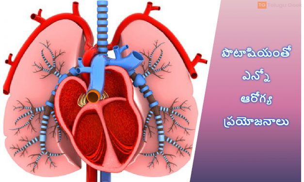 పొటాషియంతో ఎన్నో ఆరోగ్య ప్రయోజనాలు