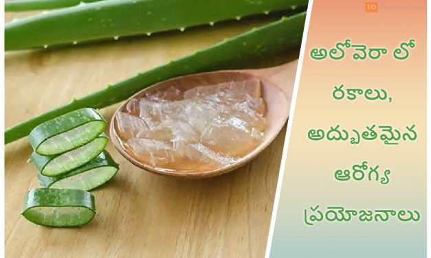 అలోవెరాలో రకాలు, అద్భుతమైన ఆరోగ్య ప్రయోజనాలు