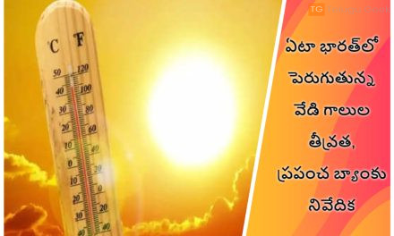 ఏటా భారత్‌లో పెరుగుతున్న వేడి గాలుల తీవ్రత, ప్రపంచ బ్యాంకు నివేదిక