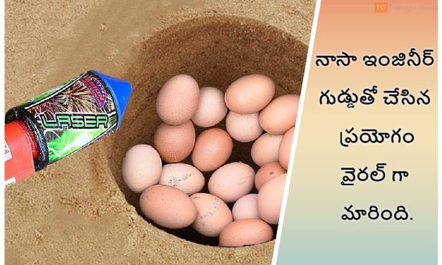 నాసా ఇంజినీర్ గుడ్డుతో చేసిన ప్రయోగం వైరల్ గా మారింది.