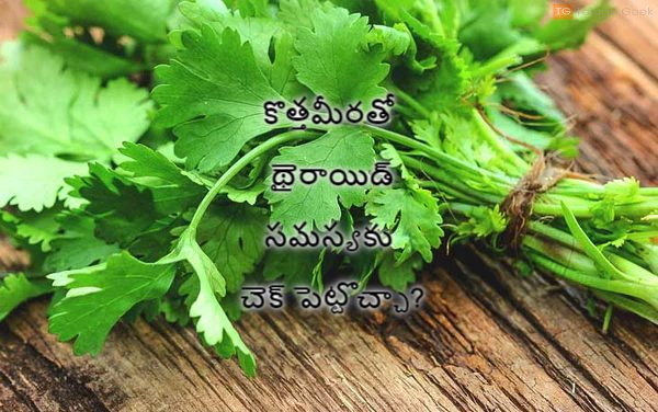 కొత్తమీరతో థైరాయిడ్ సమస్యకు చెక్ పెట్టొచ్చా?
