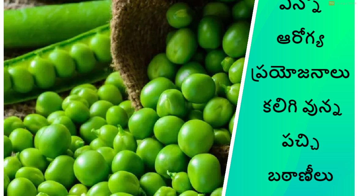 ఎన్నో ఆరోగ్య ప్రయోజనాలు కలిగి వున్న పచ్చి బఠాణీలు