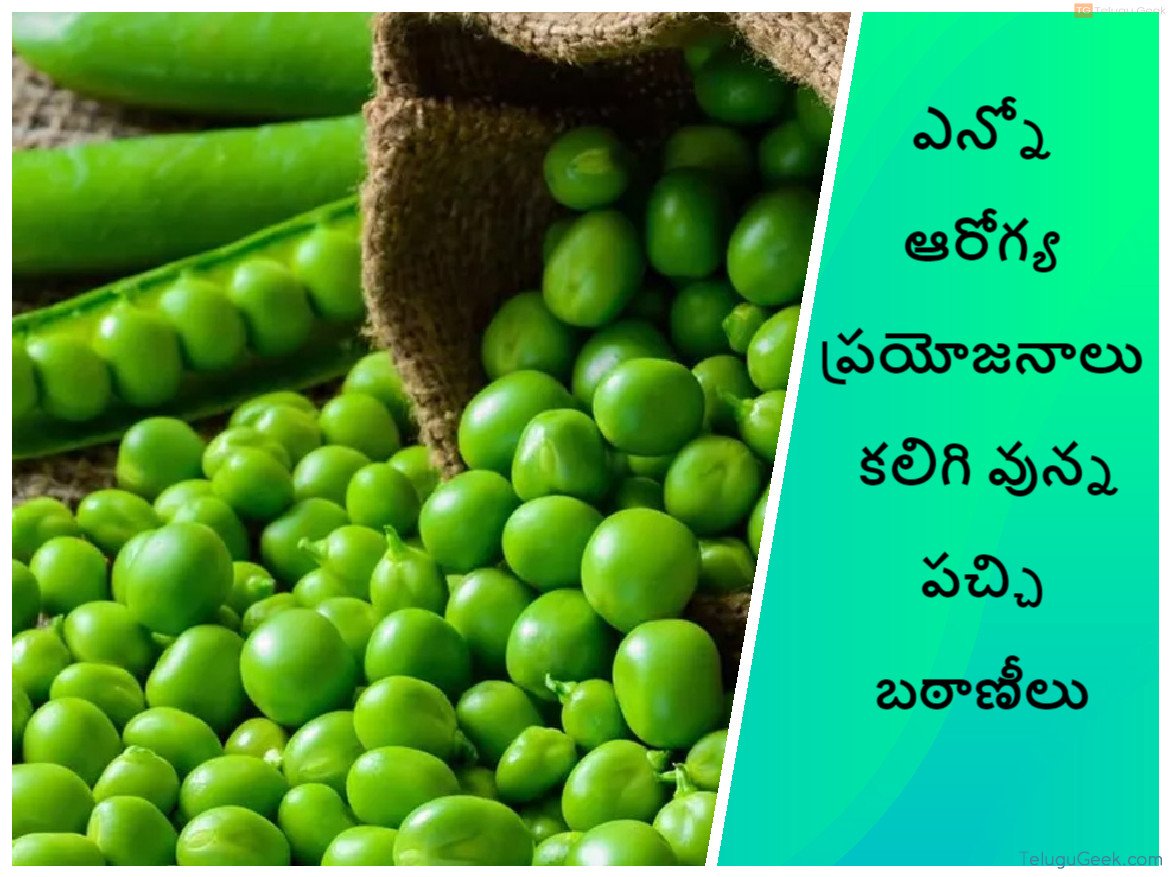ఎన్నో ఆరోగ్య ప్రయోజనాలు కలిగి వున్న పచ్చి బఠాణీలు TeluguGeek
