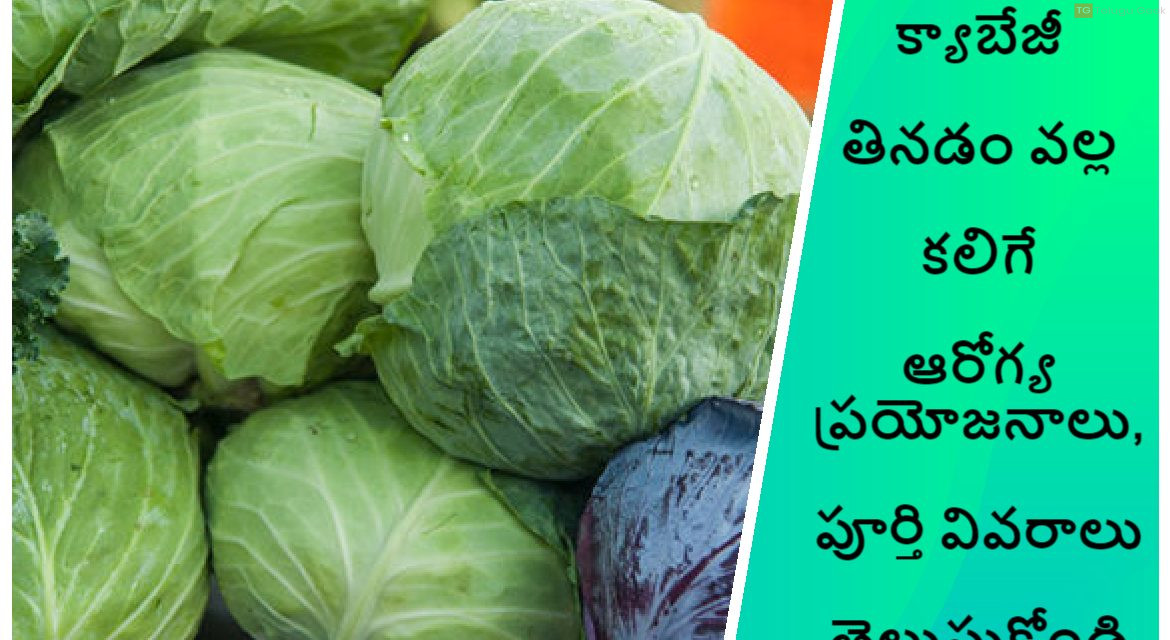 క్యాబేజీ తినడం వల్ల కలిగే ఆరోగ్య ప్రయోజనాలు, పూర్తి వివరాలు తెలుసుకోండి