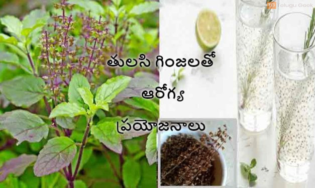 తులసి గింజలతో ఆరోగ్య ప్రయోజనాలు