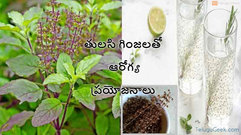 తులసి గింజలతో ఆరోగ్య ప్రయోజనాలు