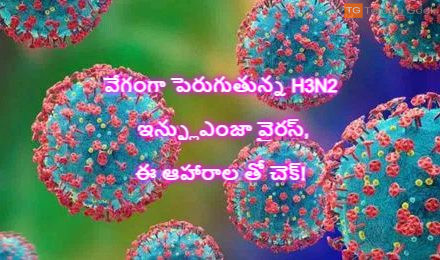 వేగంగా పెరుగుతున్న H3N2 ఇన్ఫ్లుఎంజా వైరస్, ఈ ఆహారాల తో చెక్!