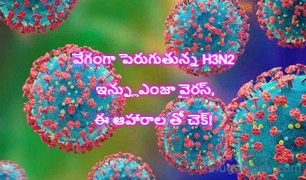 వేగంగా పెరుగుతున్న H3N2 ఇన్ఫ్లుఎంజా వైరస్, ఈ ఆహారాల తో చెక్!