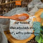 సబ్జా గింజలతో వేడిని తగ్గించడమే కాదు మరెన్నో ఆరోగ్య ప్రయోజనాలు