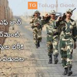 బీఎస్‌ఎఫ్‌ జాబ్‌ రిక్రూట్‌మెంట్‌, 247 పోస్టుల భర్తీకి ప్రకటన విడుదల
