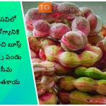 వేసవిలో ఆరోగ్యానికి మంచి బూస్ట్ ఇచ్చే పండు సీమ చింతకాయ