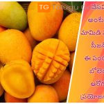 వేసవి అంటేనే మామిడి పండ్ల సీజన్, ఈ పండ్లతో బోలెడు ఆరోగ్య ప్రయోజనాలు