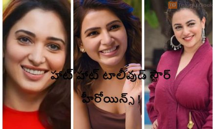 హాట్ హాట్ టాలీవుడ్ స్టార్ హీరోయిన్స్ !